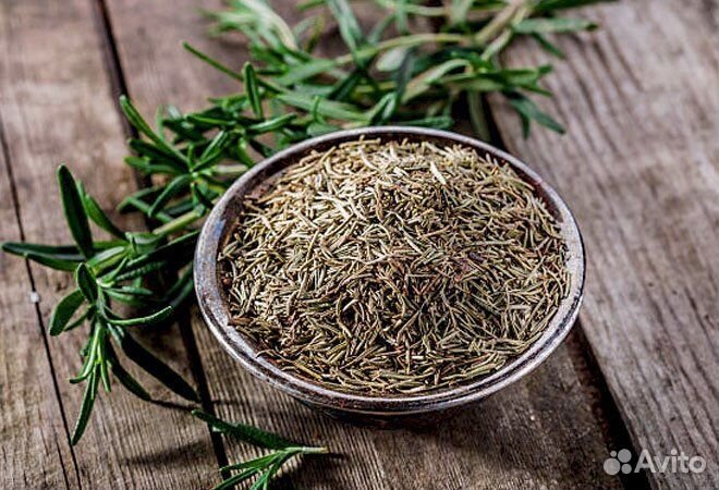 Ароматный розмарин