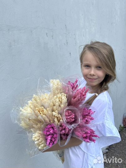 Пшеница сухоцвет