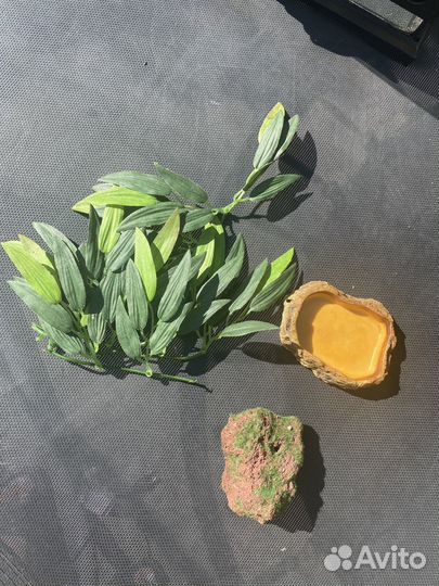 Террариум для рептилий (комплект)