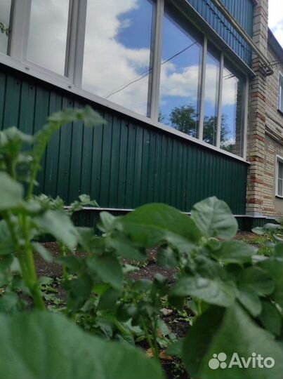 Тонировка окон, зеркальная пленка тонировка стекол