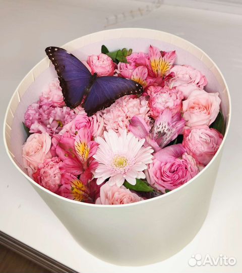 Цветы и бабочки