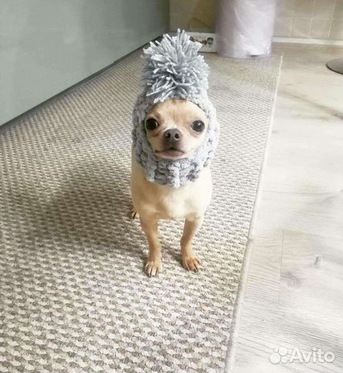 Шапочки шлемы для собак