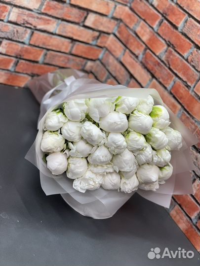 Пионы цветы