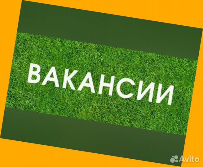 Наборщик заказов Без опыта Еженедельные выплаты