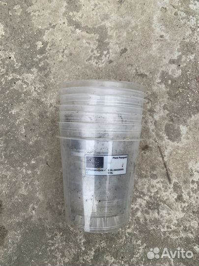 Горшок для орхидеи