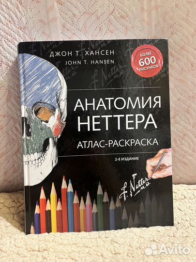 Атлас-раскраска анатомия неттера