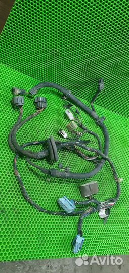 Жгут Эбу Chevrolet Lanos Zaz Sens