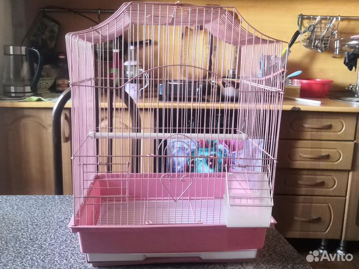 Клетка для попугая
