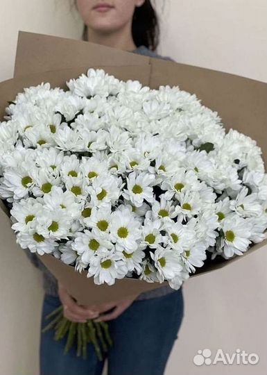 Хризантема Доставка цветов Букеты