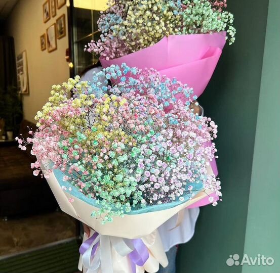 Гипсофила радужная