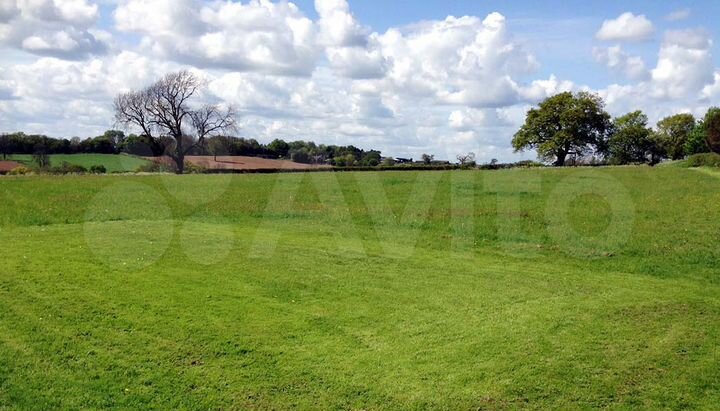 Участок 5,9 га (СНТ, ДНП)