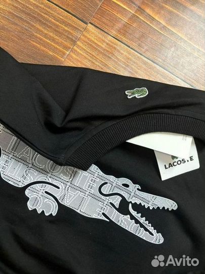 Свитшот Lacoste