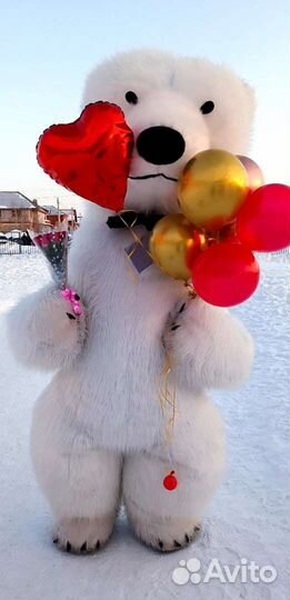 Гигантский Мишка, поздравление, аниматоры, шары
