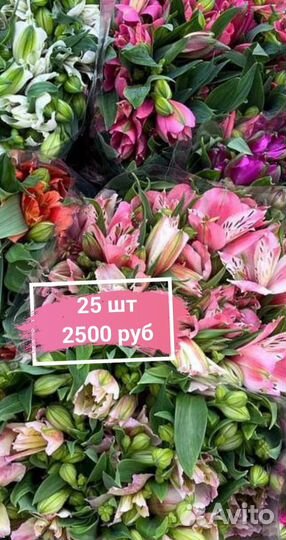 Альстромерия букет свежие цветы Тольятти Доставка