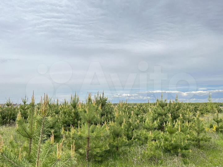 Участок 10 сот. (ИЖС)