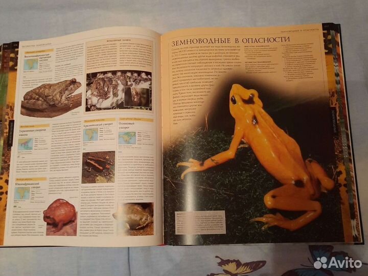 Иллюстрированная энциклопедия животных всего мира