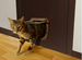 Новый Котоход Trixie — Дверца для кошек и собак