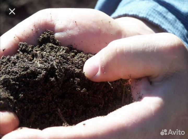 Перегной,навоз