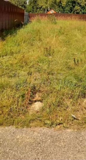 Участок 8 сот. (СНТ, ДНП)