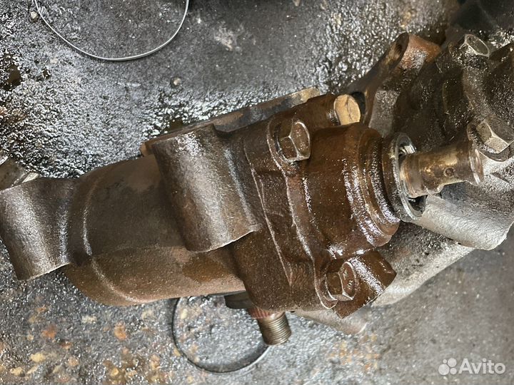 Гур на газель