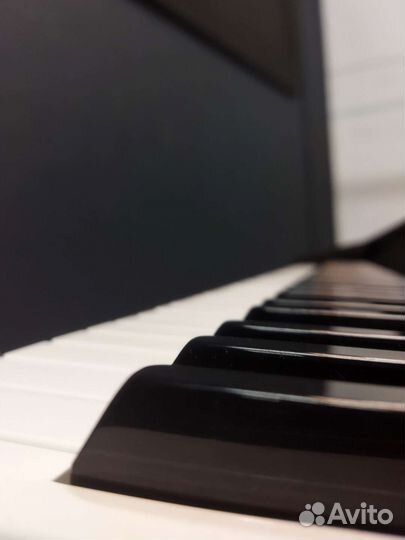 Репетитор по сольфеджио и фортепиано