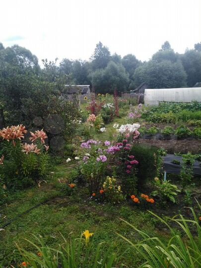 Дом 70 м² на участке 14 сот.