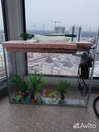 Аквариум