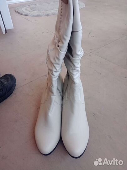 Сапоги осень весна женские