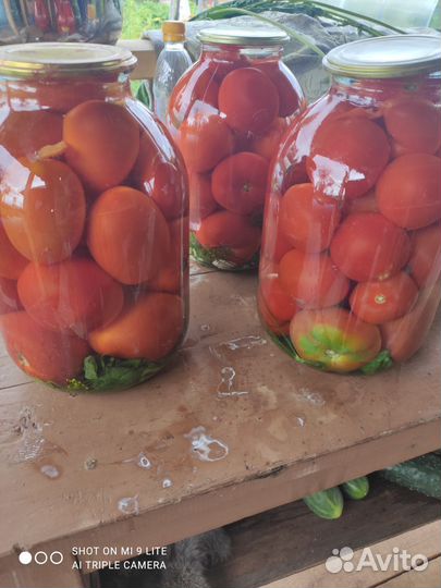Продам картофель домашний