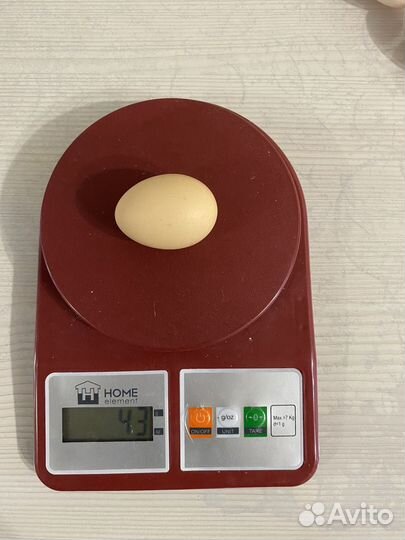 Яйцо домашнее куриное