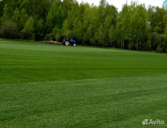 Рулонный газон