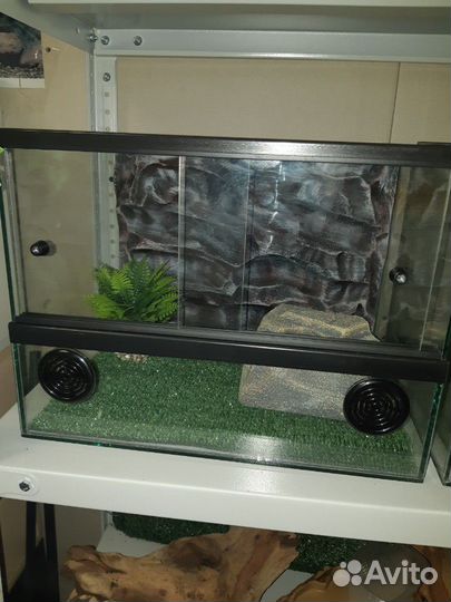 Обзорные террариумы