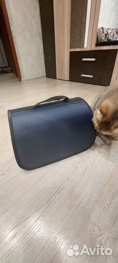 Переноска для кошек и собак