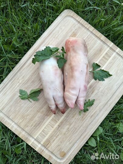 Рульки свиные