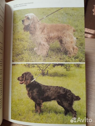 Чистокровные собаки Д.Нажманова на польском языке