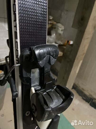 Горные лыжи