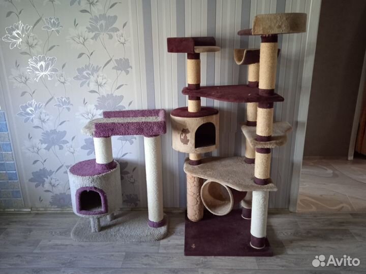 Всё для кошек