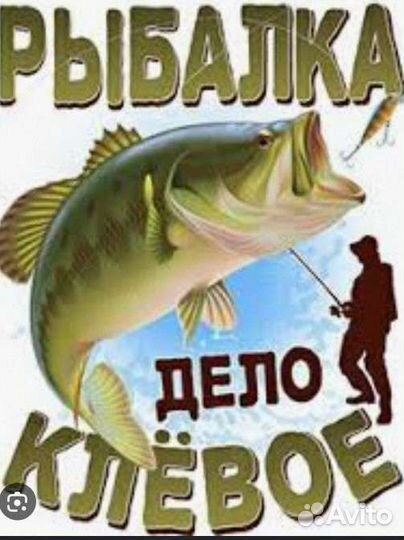 Любые Рыбацкие снасти