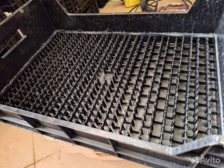 Ящик для гидропонной выгонки тюльпанов