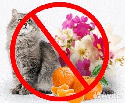 Удаление неприятных запахов и аллергенов