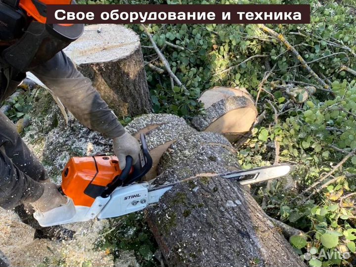 Удаление и валка деревьев, спил деревьев