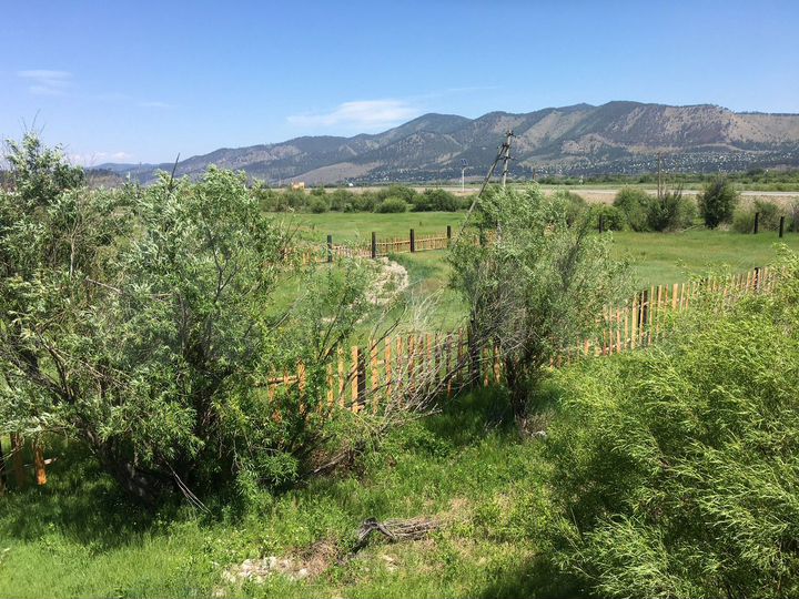 Участок 21 сот. (ИЖС)