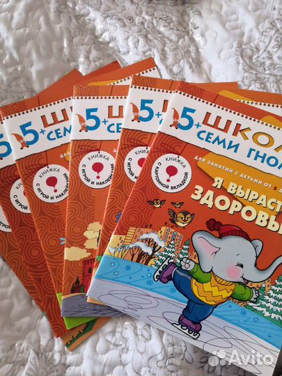 Школа 7 гномов