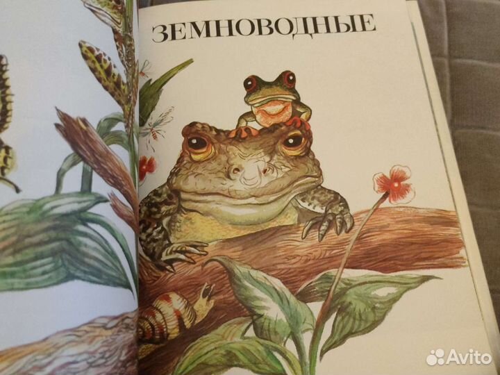 Книги о животных детские