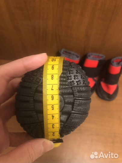 Обувь для крупных собак