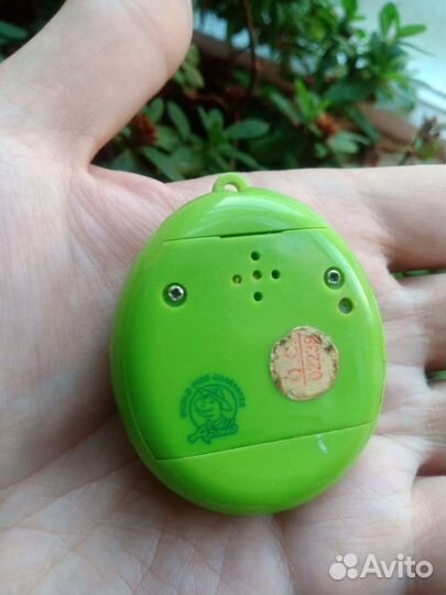 Тамагочи apollo