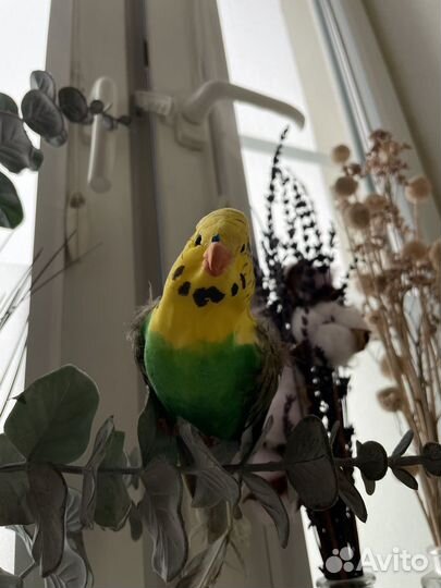 Декоративный Искусственный Волнистый попугайчик