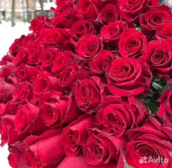 Розы высокие Доставка цветов