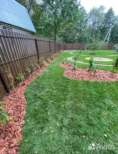 Рулонный газон