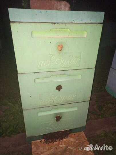 Ульи Пеноулик Рута 10шт